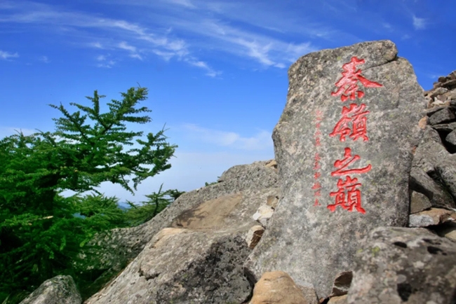 “生態(tài)秦嶺 清涼之約”主題媒體行活動 探秘朱雀國家森林公園